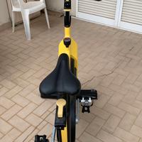 Bici Spinning Technogym professionale 