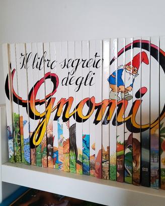 libro segreto degli gnomi