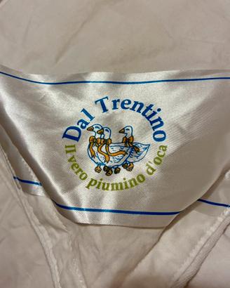 Vero piumino d’oca