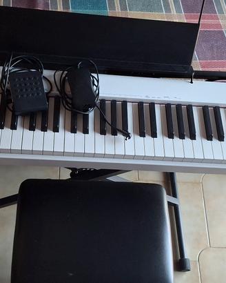 Tastiera Casio CDP-S110  con Stand a x e panchetto