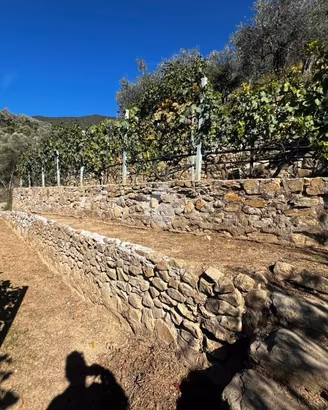 TER. AGRICOLO A CERIANA