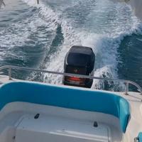 Motore Mercury 135cv 2 tempi Elpto - Trattabilissi
