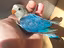 Immagine 1