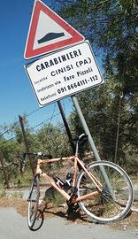 bici da corsa 28 artigianale 2x9  macinachilometri