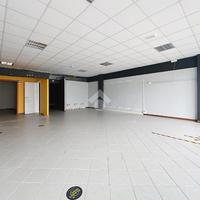 NEGOZIO A VICOPISANO