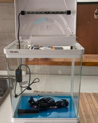 Acquario circa 24 litri
