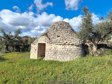 Terreno edificabile di 5.589 mq con fabbricato