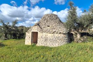 Terreno edificabile di 5.589 mq con fabbricato