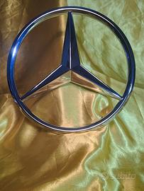 stella Mercedes Benz 