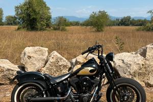 Harley-Davidson FLSTS Bobber