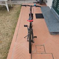 Bici Bimbo 24 Pollici