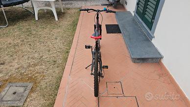 Bici Bimbo 24 Pollici