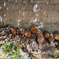 Legna da ardere in blocco