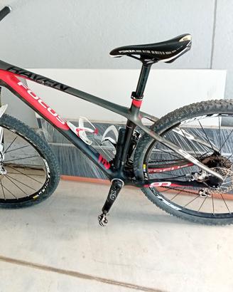 mtb focus