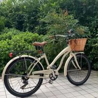 Bicicletta con cestino