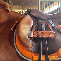 Sella devoucoux Biarritz