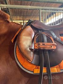 Sella devoucoux Biarritz