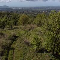 Terreno agricolo a Roccamorfina (CE)
