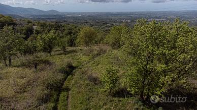 Terreno agricolo a Roccamorfina (CE)