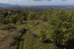 Terreno agricolo a Roccamorfina (CE)