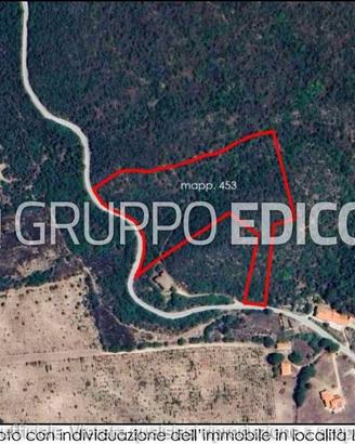 Terreno, Viddalba.
