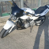 Honda Hornet