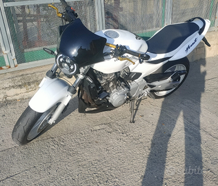 Honda Hornet