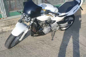 Honda Hornet