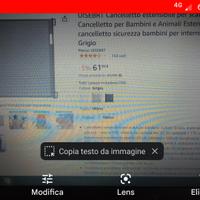 cancello bambini 