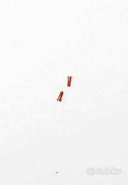 Viti per occhiali Rayban Bausch Lomb