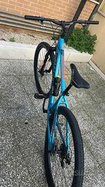 Bottecchia 109