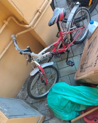 Bicicletta bimbo "Poli"