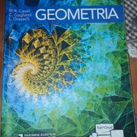 Geometria+versione online (Casali-Gagliardi-Grasse