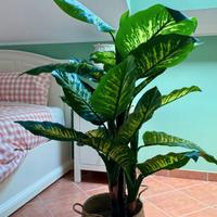 Pianta artificiale Dieffenbachia