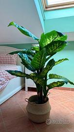 Pianta artificiale Dieffenbachia