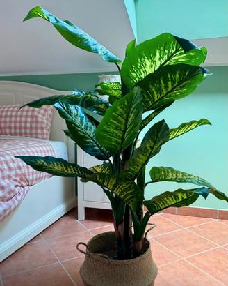 Pianta artificiale Dieffenbachia