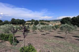 TER. AGRICOLO A TREVIGNANO ROMANO
