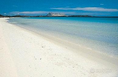 S.TEODORO, Grazioso Villino vicino La Cinta