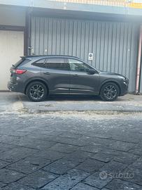 Fird kuga st line 120 cv diesel automatica