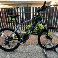 Bici elettrica