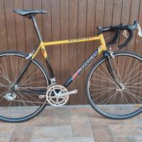 SCAPIN S4 tg 54