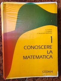 Libro matematica Zwirner