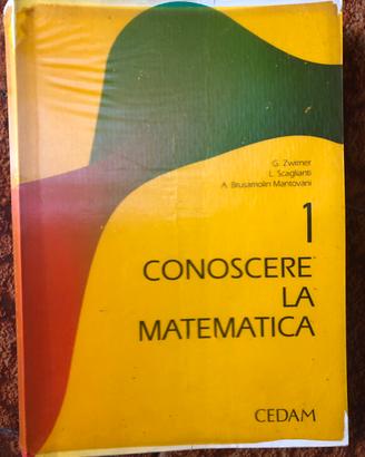 Libro matematica Zwirner