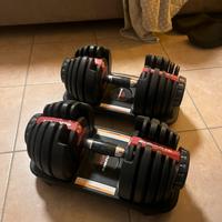 PESI BOWFLEX fini a 24kg