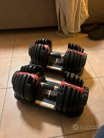 PESI BOWFLEX fini a 24kg