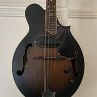 Mandolino Tanglewood elettrico