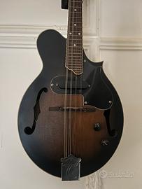Mandolino Tanglewood elettrico