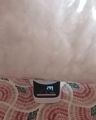 Ovatta floccata 299 gr.