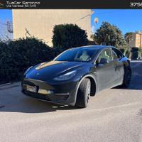 Tesla Model Y Performance #8327