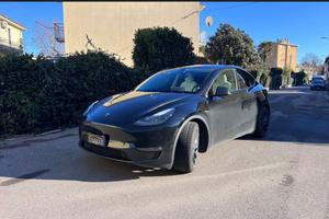 Tesla Model Y Performance #8327